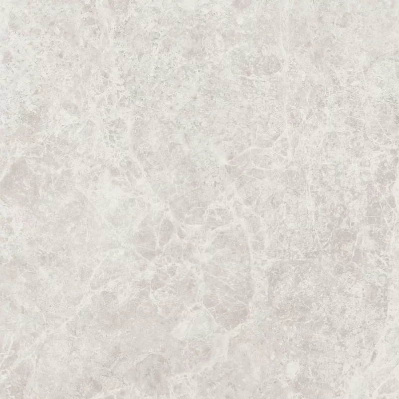 ERA DELICATE IVORY 60X60_08