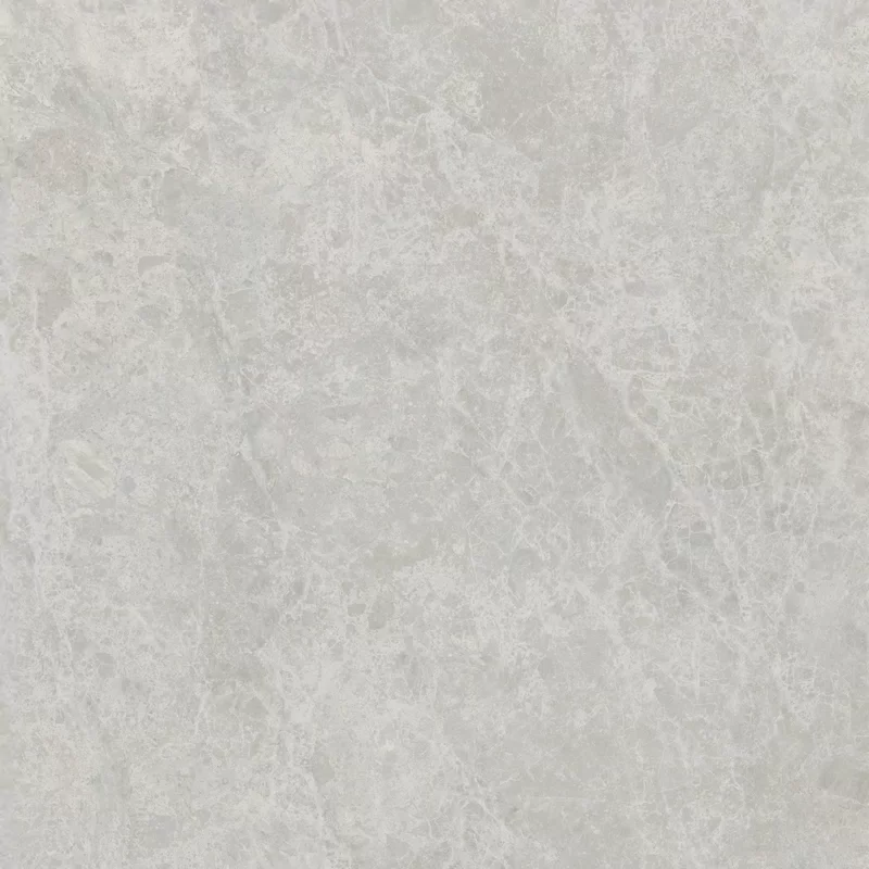 ERA DELICATE ASH 120X120_09