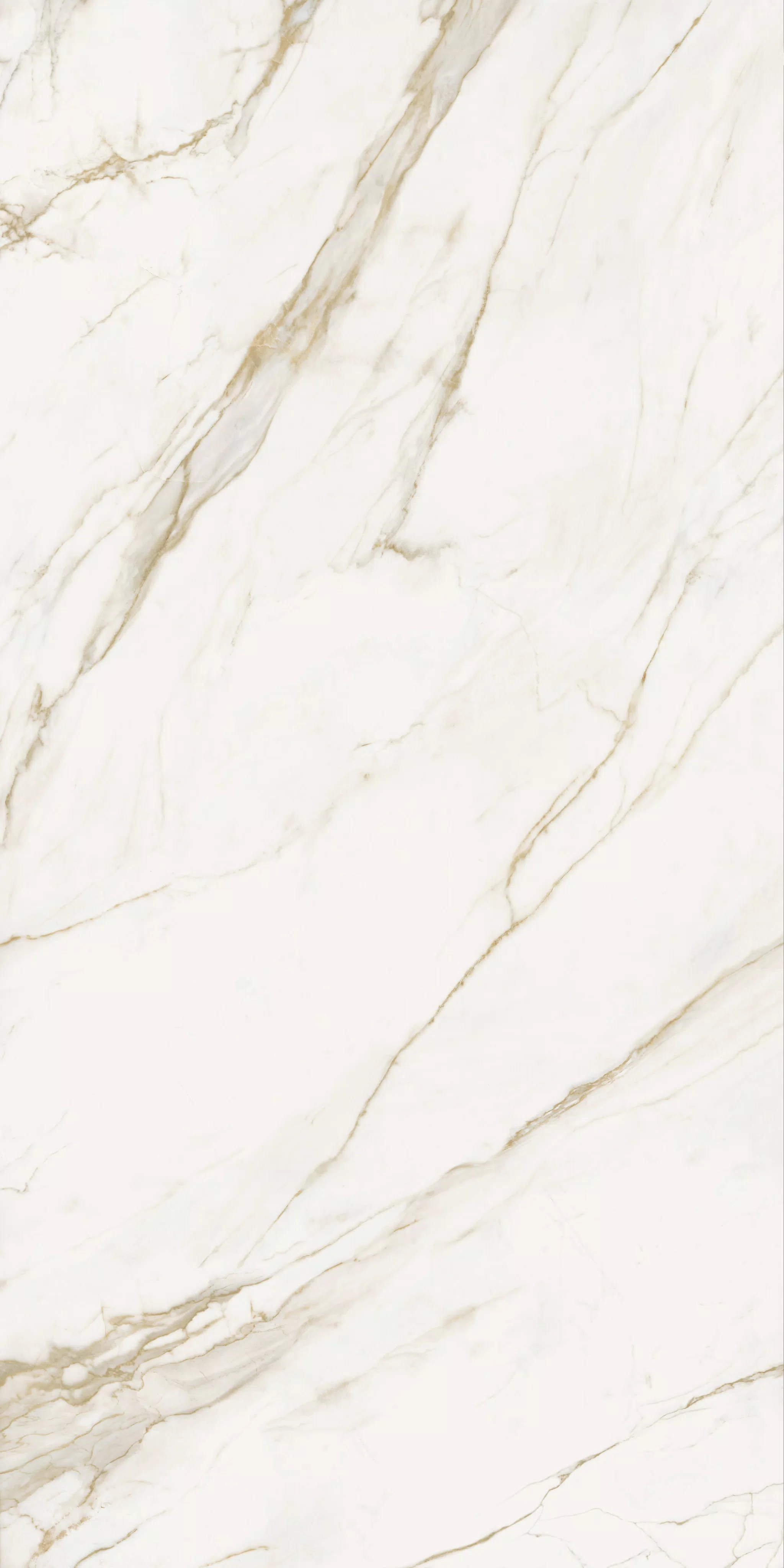 CALACATTA GOLD | ABKSTONE