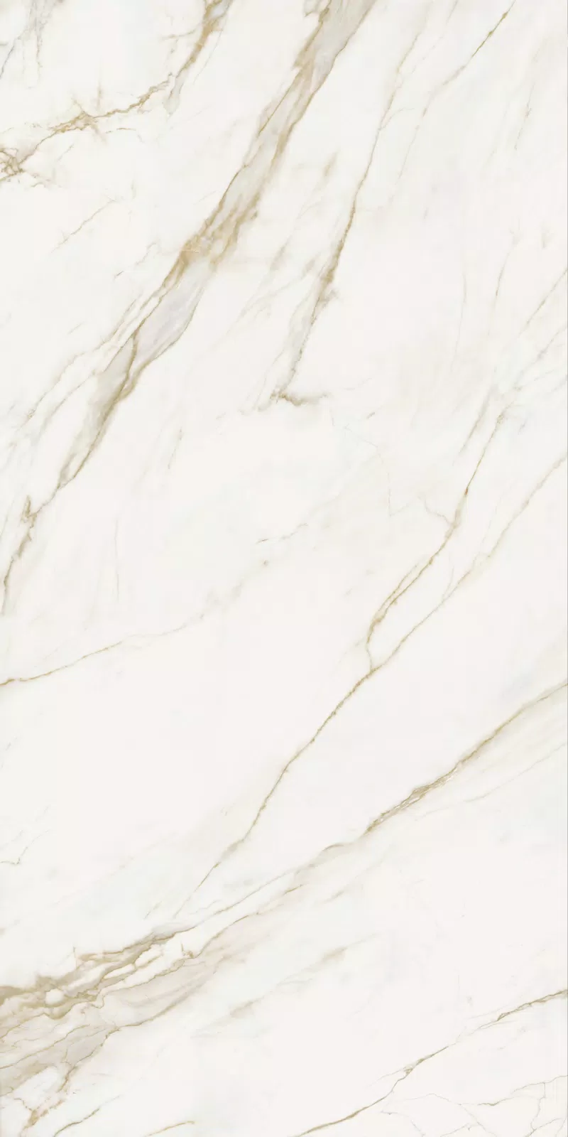 Marble Calacatta Gold slab by ABKStone in white, Soft finish, 163,5x323, 12 mm thickness.