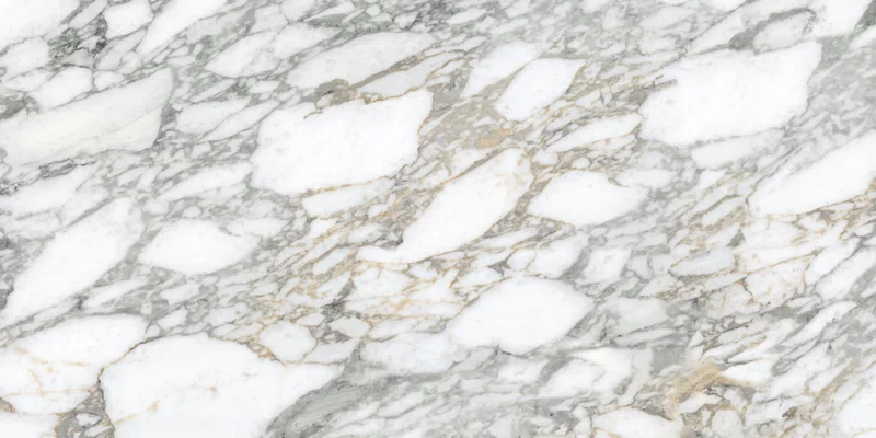 SUPREME MEMORIES BIANCO VAGLI 60X120_05