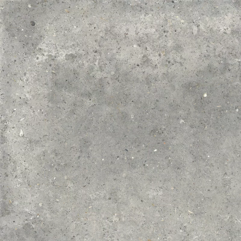 ANIMA GRIGIO 60X60_06