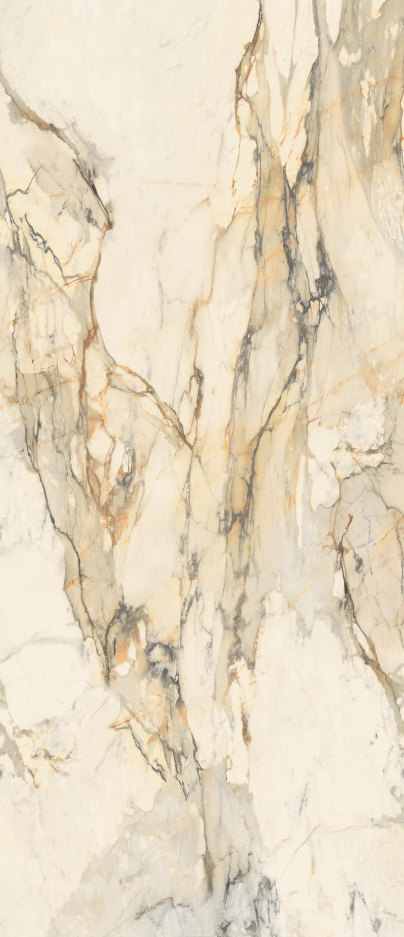 LA MARMOTECA_ANTIQUE BROWN_ 120x280_4