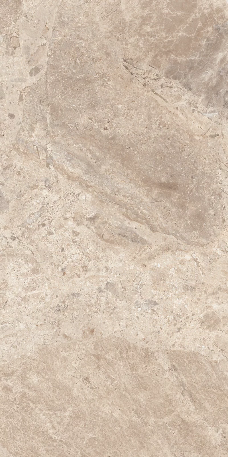 OUT.20 ERA BLOOMING TAUPE 60X120 _04