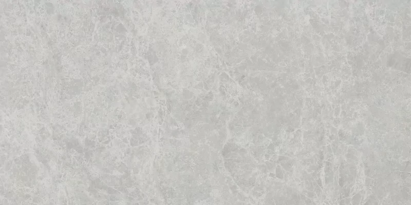 ERA DELICATE ASH 60X120_16