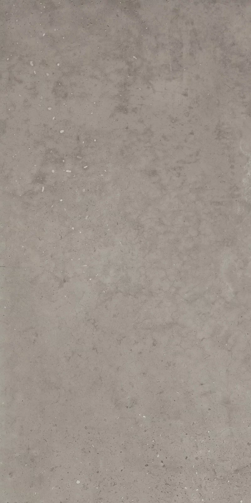 X20 HYPER GREY 60X120_04