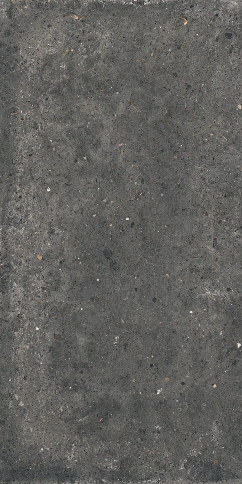 ANIMA FUMO 60X120_11