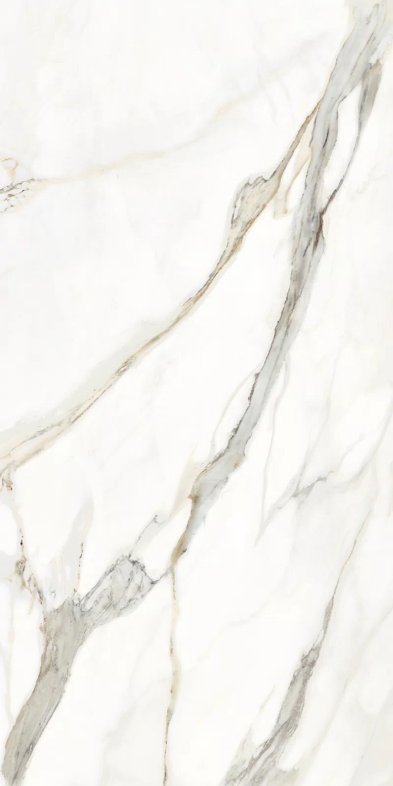 MARMOTECA_CALACATTA ELEGANCE_60X120_12