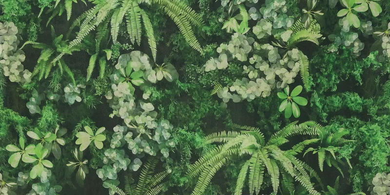 120X240 · Natürlich