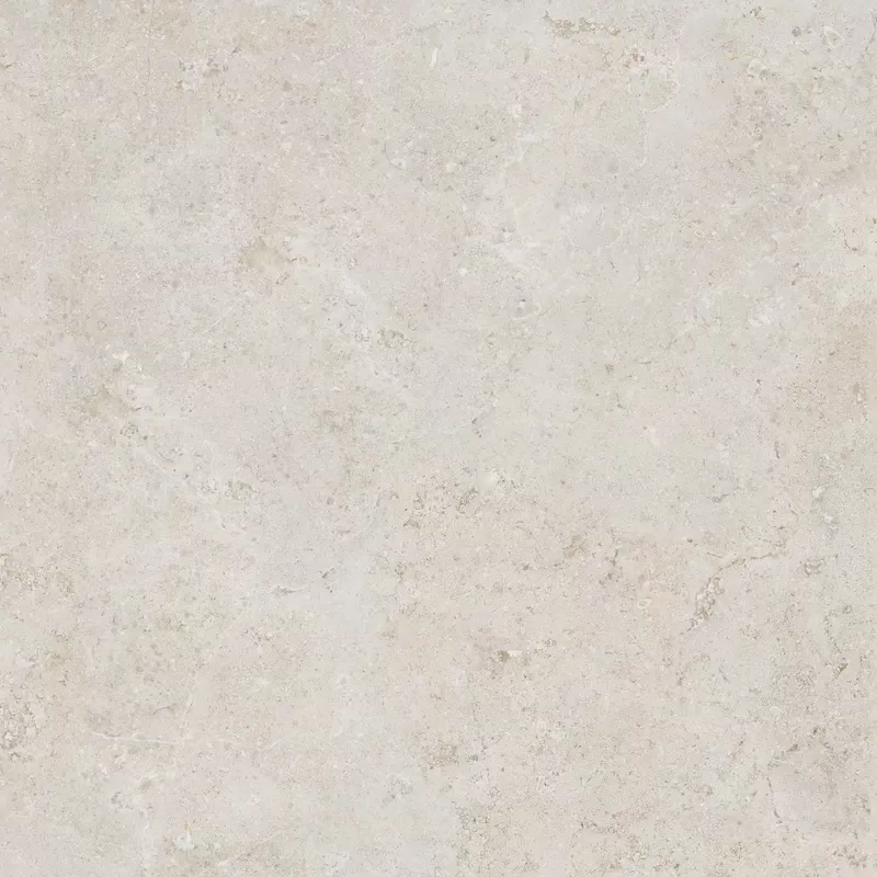 BONE