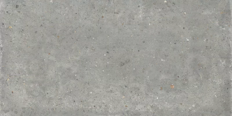 POETRY STONE PIRENEI GREY 60X120_14