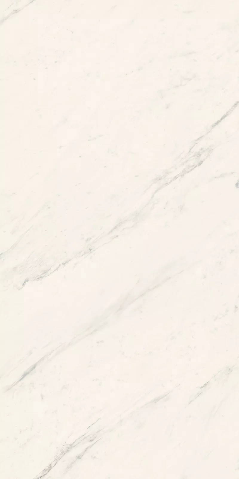 LA MARMOTECA_SAHARA WHITE_60X120_7