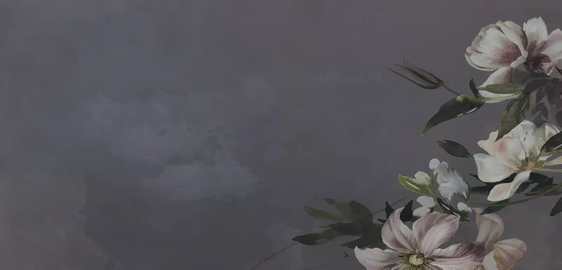 120X240 · Natural