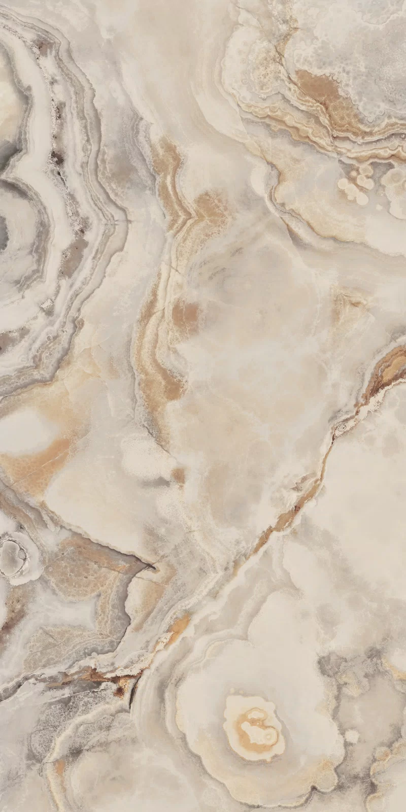 LA MARMOTECA_COSMIC IVORY_60X120_4