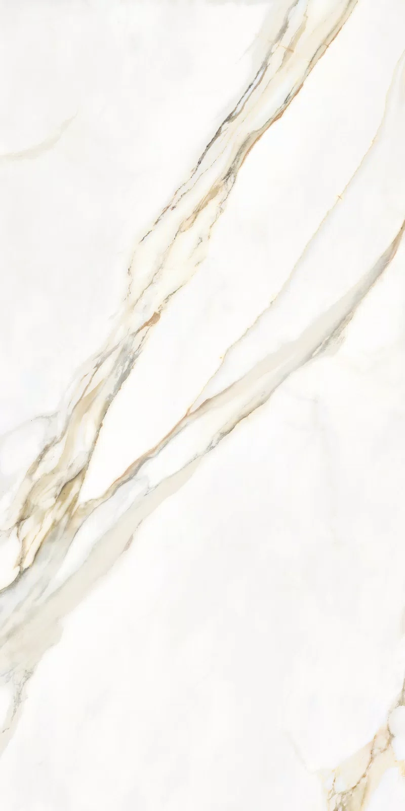 MARMOTECA_CALACATTA ELEGANCE_60X120_2