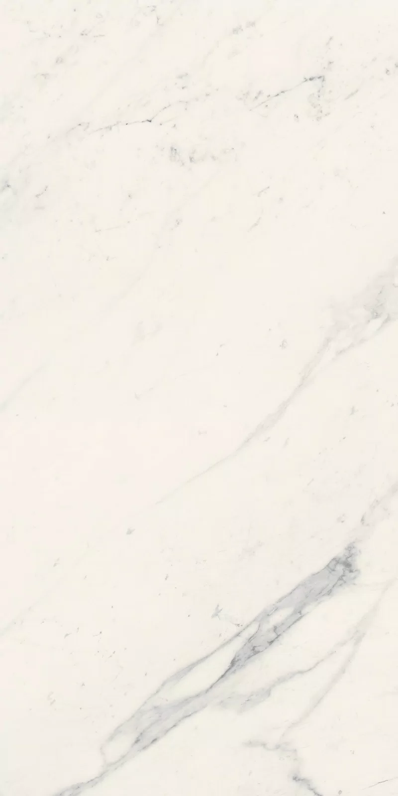 LA MARMOTECA_SAHARA WHITE_60X120_4