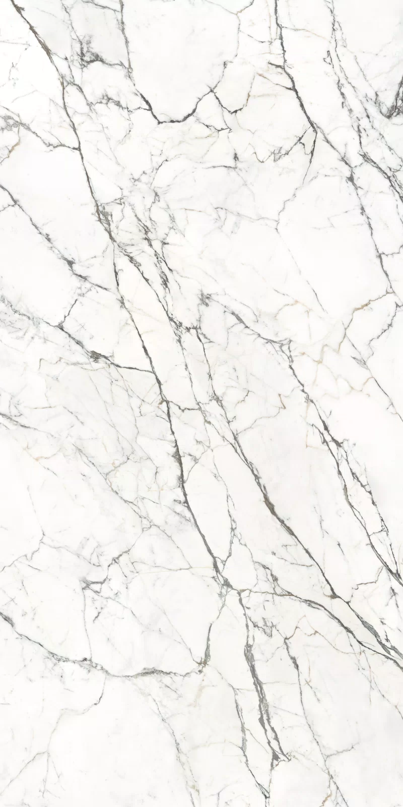 163,5X323 · 12 mm · Lux
