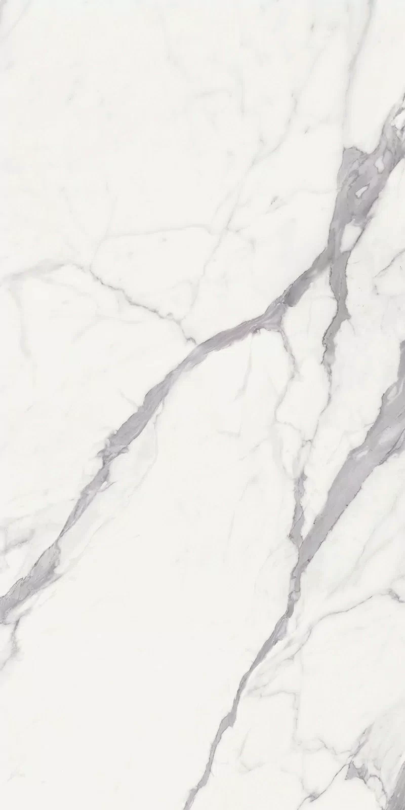 NOBILE STATUARIO 60X120_04