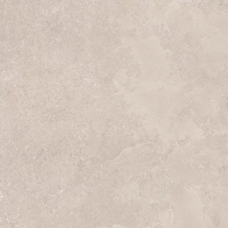 MIDI NATURE POUDRE 60x60_22