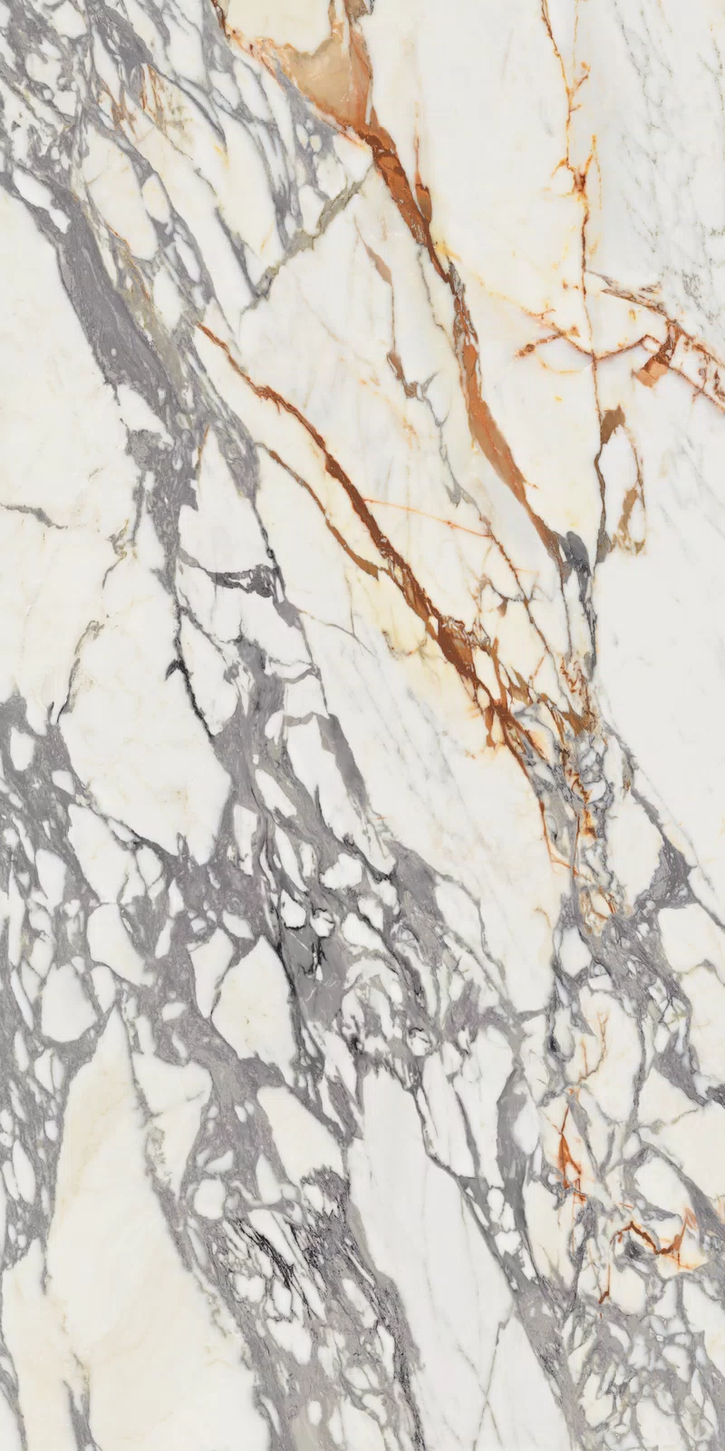 EPOQUE 21 ARABESCATO 60X120_11