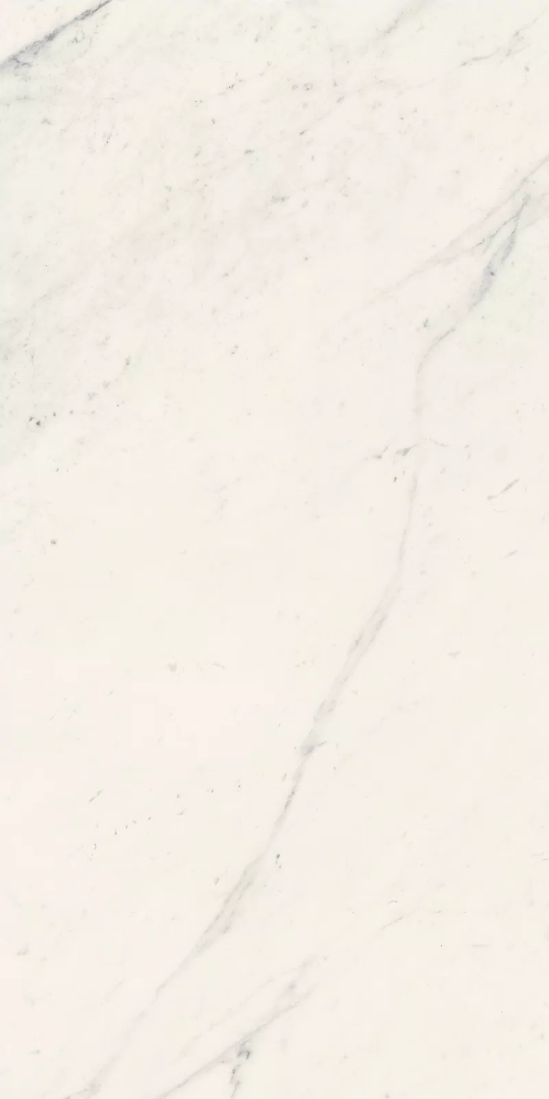 LA MARMOTECA_SAHARA WHITE_60X120_2