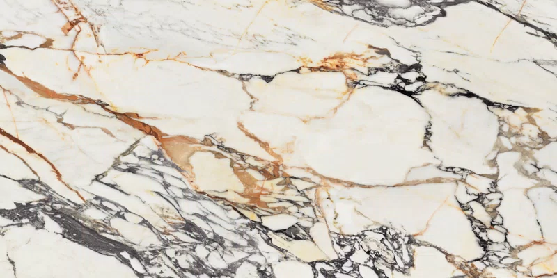 SUPREME TREASURE CORCHIA GOLD 60X120_08