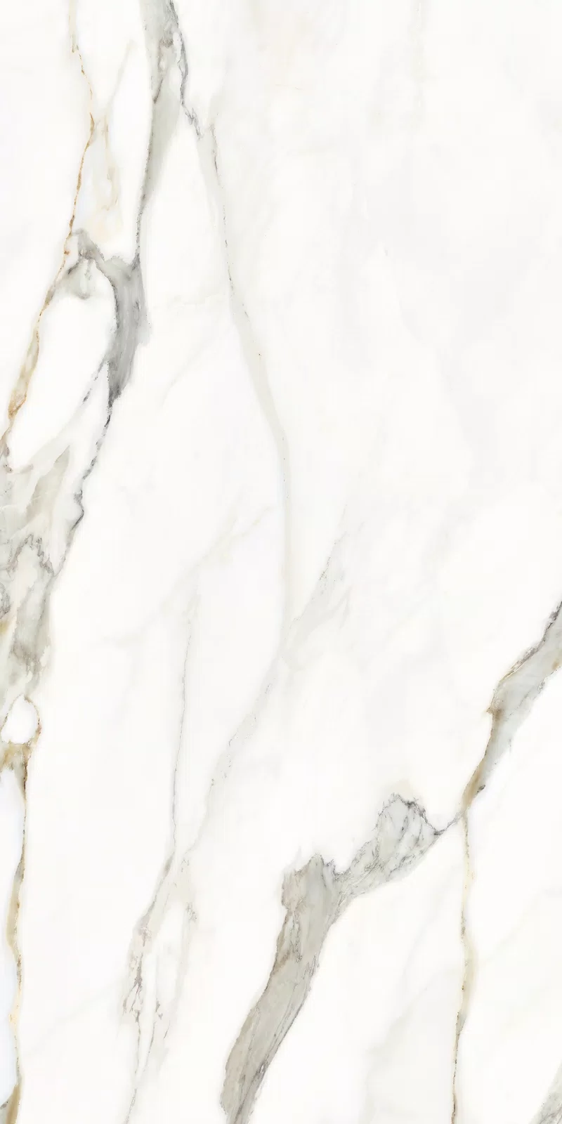 MARMOTECA_CALACATTA ELEGANCE_60X120_16