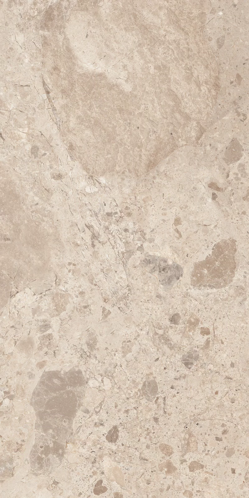 OUT.20 ERA BLOOMING TAUPE 60X120 _07