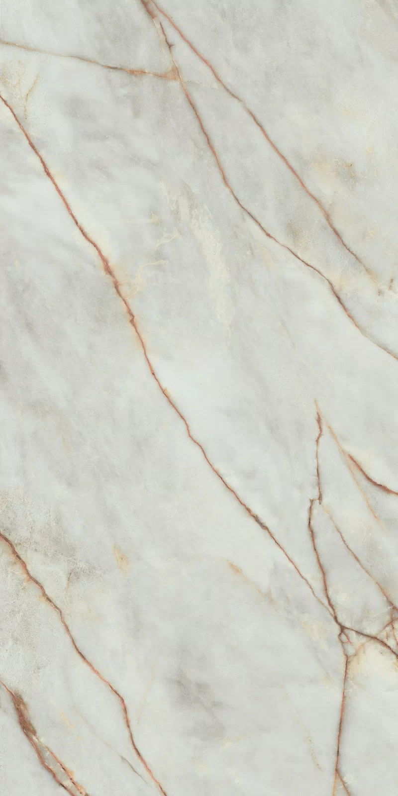 LA MARMOTECA_GREY WONDER 60X120_5