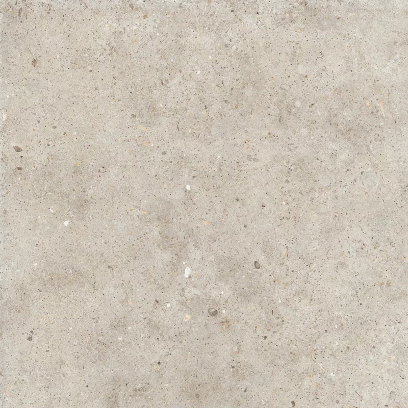 ANIMA BEIGE 60X60_11