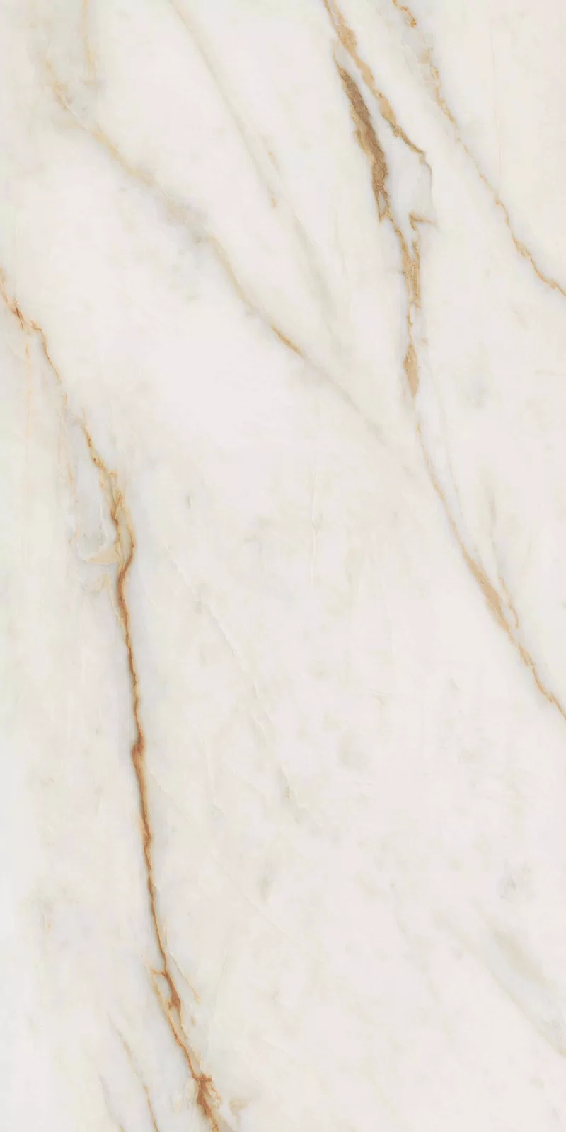 NOBILE CALACATTA 60X120_17