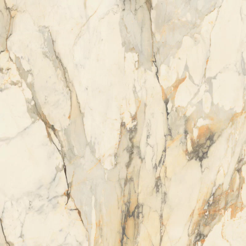 LA MARMOTECA_ANTIQUE BROWN_120x120_05