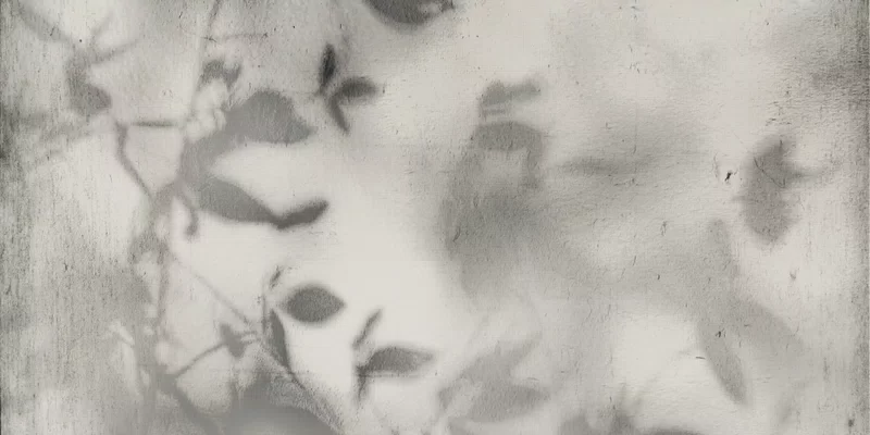 ART WALLS SHADOW 60X120_12