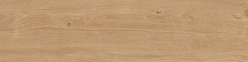 FOUR SEASONS HONEY 30X120_03