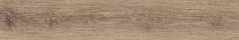 ZEN CAMEL 20X120_14