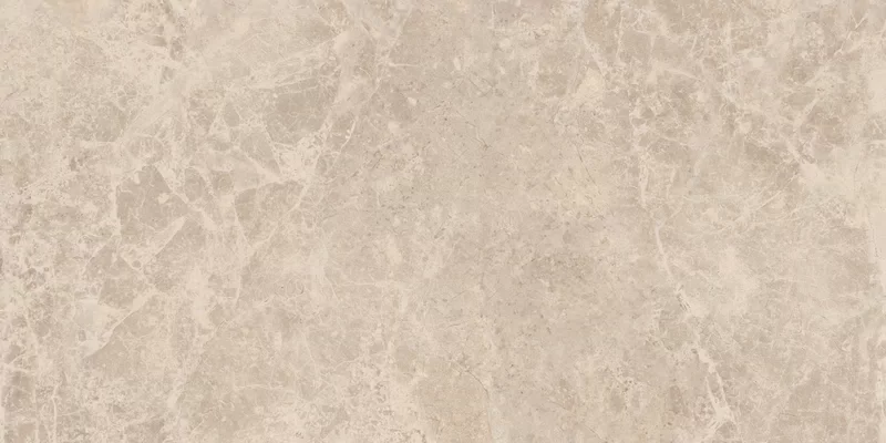 ERA DELICATE TAUPE 30X60_02