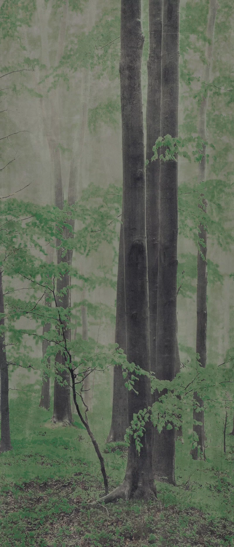 120X280 · Natürlich