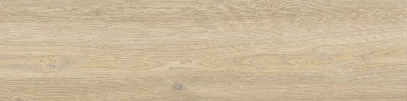 OUT.20 POETRY WOOD GOLD 30X120_06