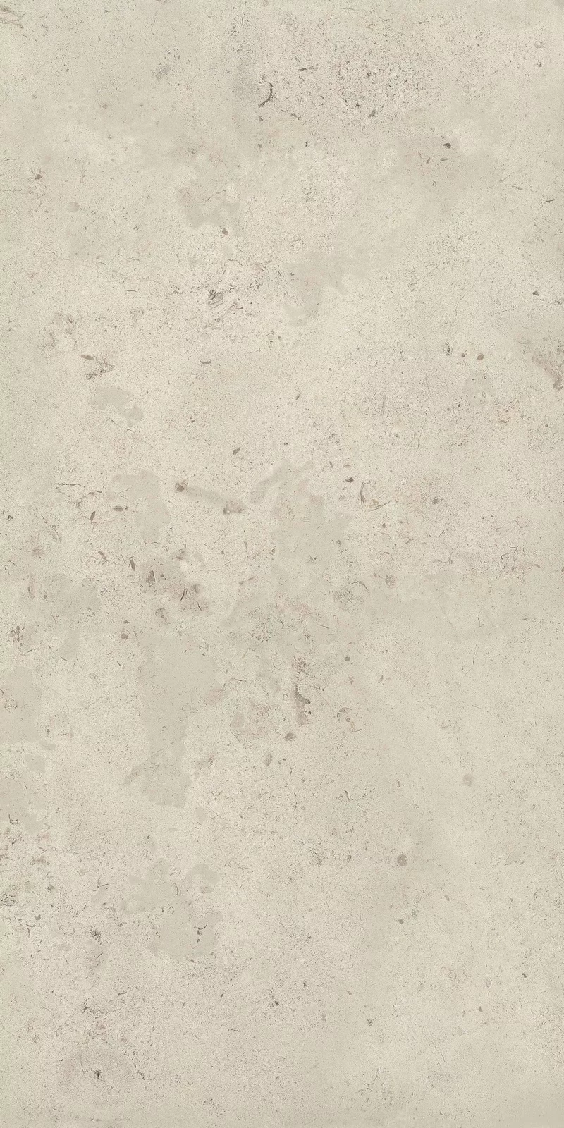 MEMENTO CAMARGUE IVORY 60X120_12