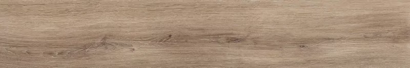 ZEN CAMEL 20X120_11