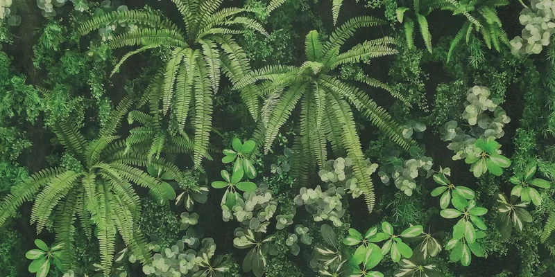 WIDE&STYLE CP4 SECRET GARDEN WALL 120X240_02