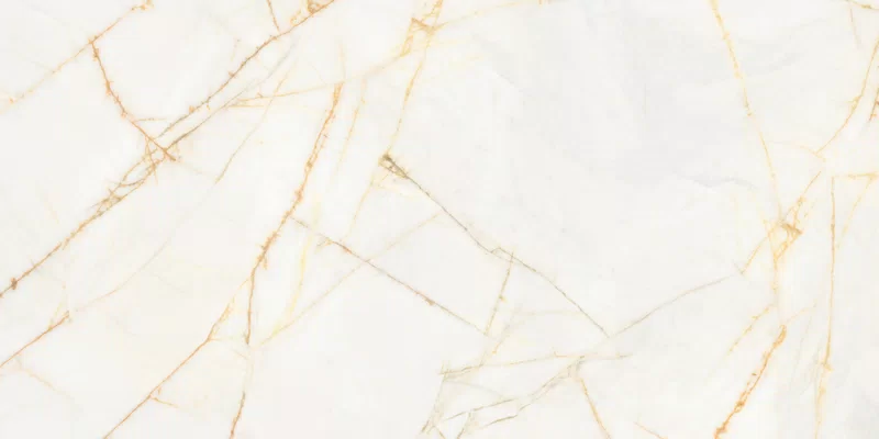 SUPREME HEDONISM GOLDEN SPIDER 60X120_17