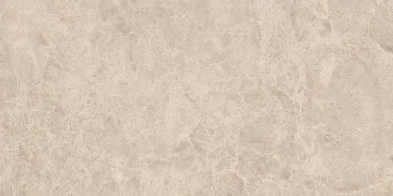 ERA DELICATE TAUPE 60X120_07