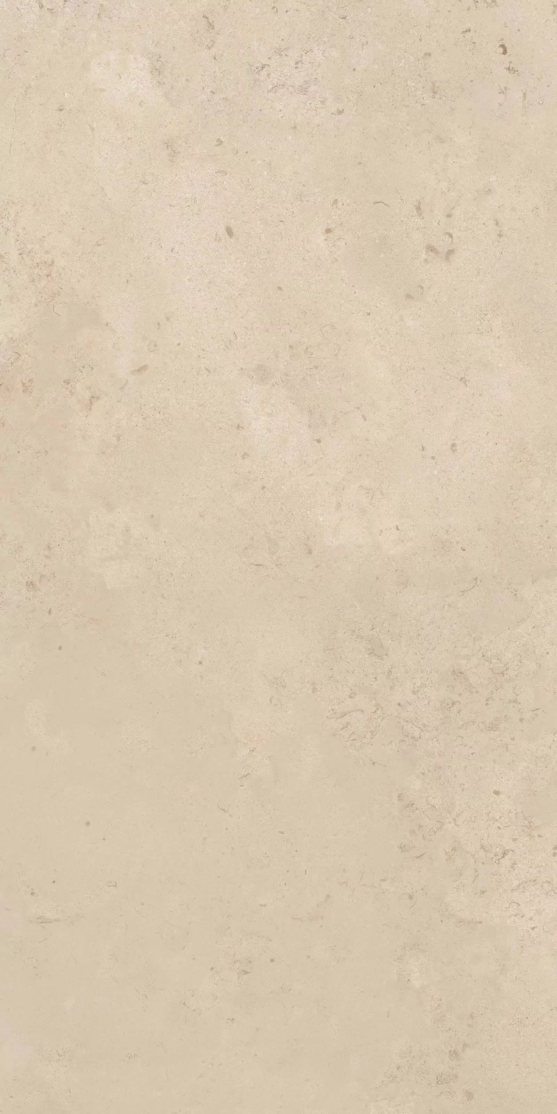 MEMENTO CAMARGUE BEIGE 60X120_13