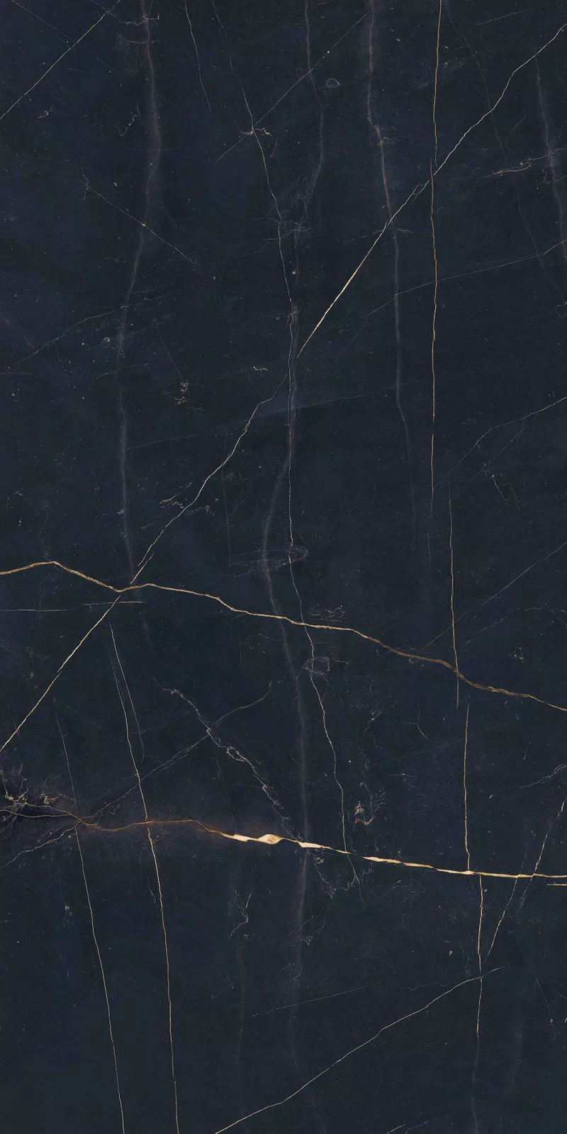 NOBILE PORT NOIR 60X120_03