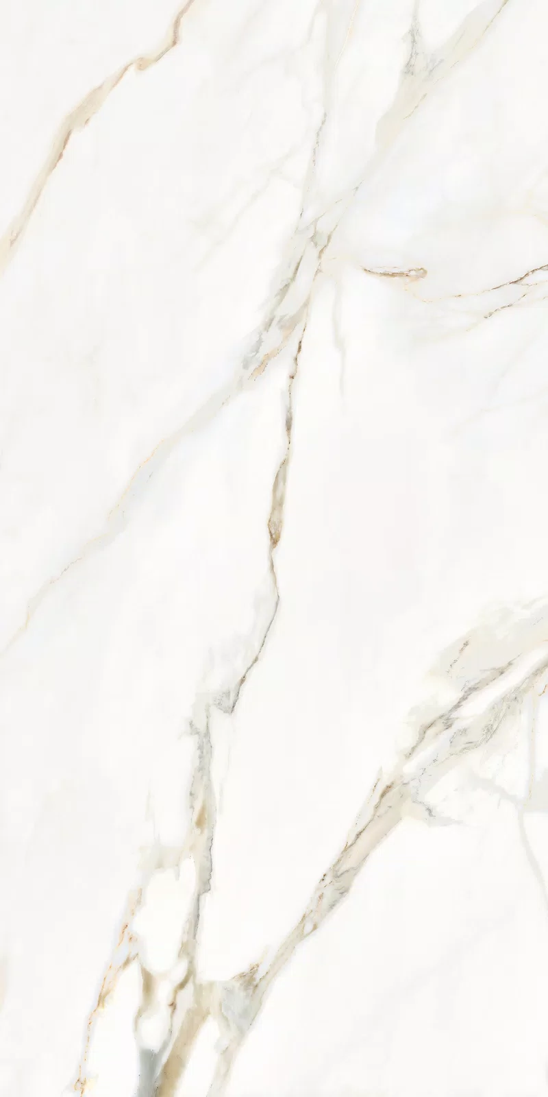MARMOTECA_CALACATTA ELEGANCE_60X120_11