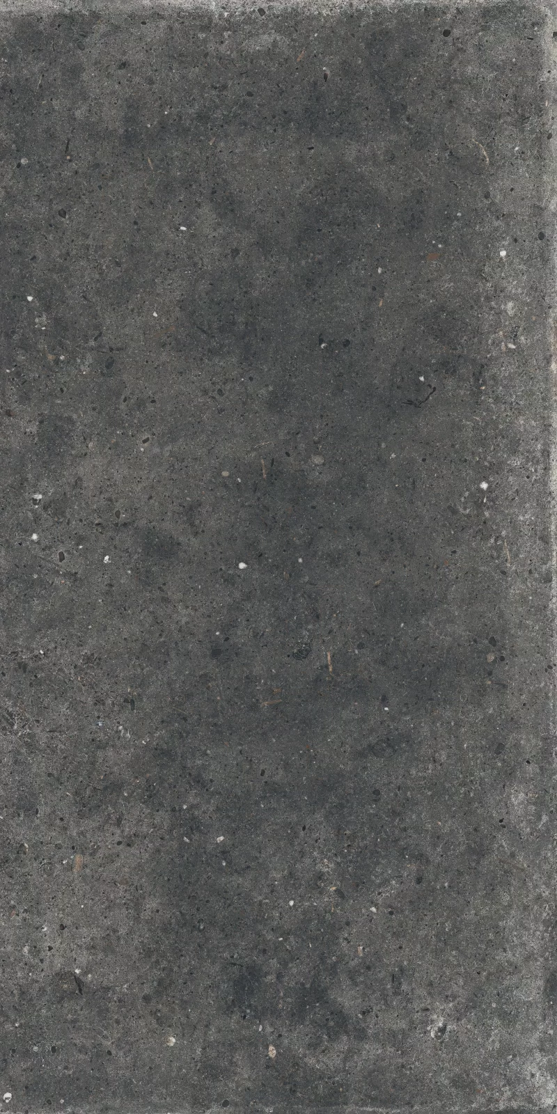 ANIMA FUMO 60X120_10