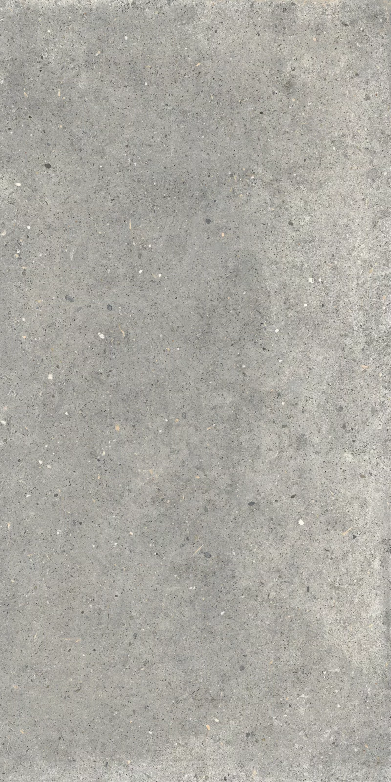 ANIMA GRIGIO 60X120_02