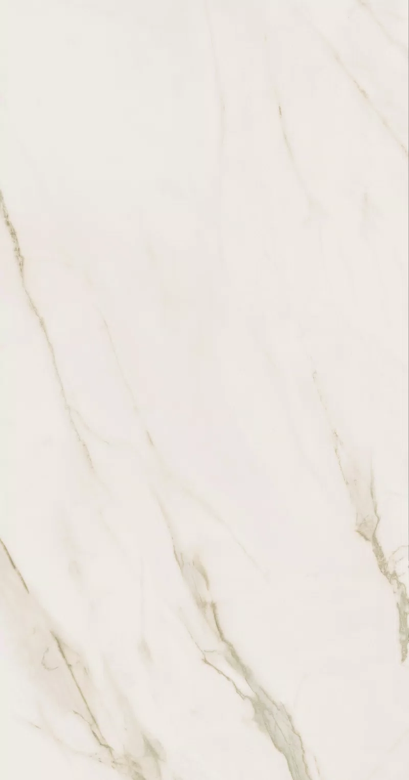 SUPREME EVO CALACATTA EXTRA 60X120_14