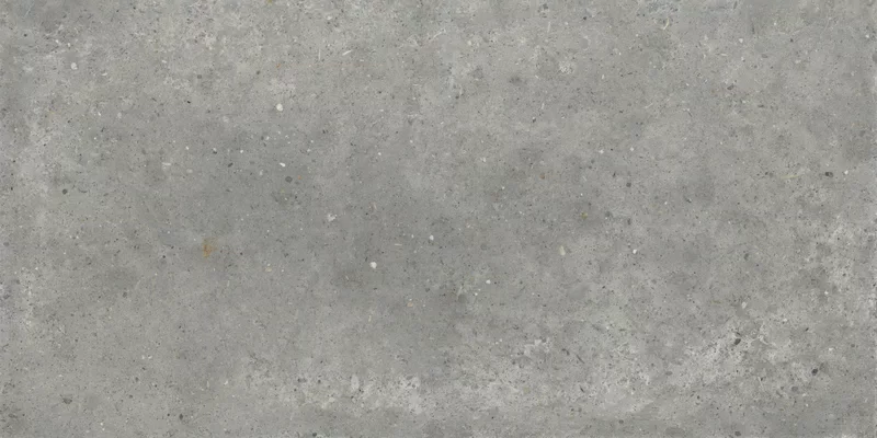 POETRY STONE PIRENEI GREY 60X120_13